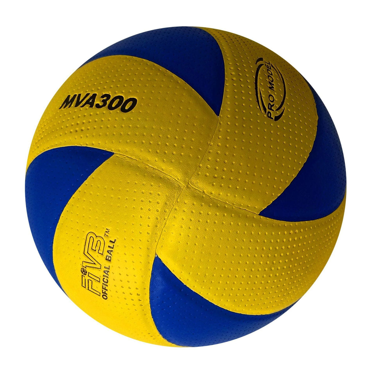 Women's High-Performance Volleyball