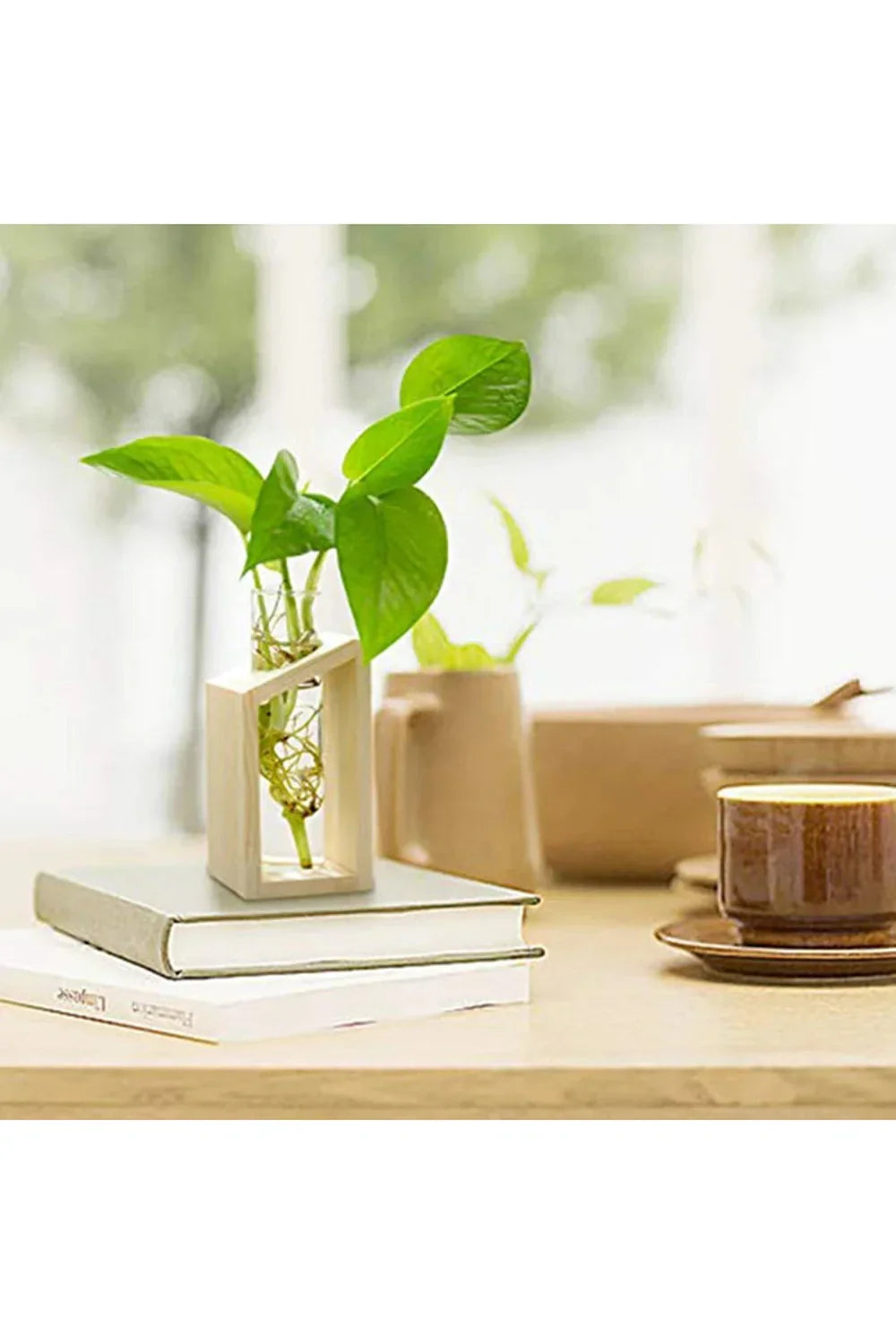 Wooden Plant Pot with Glass Test Tube
