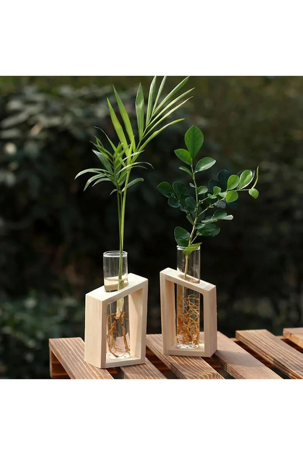 Wooden Plant Pot with Glass Test Tube