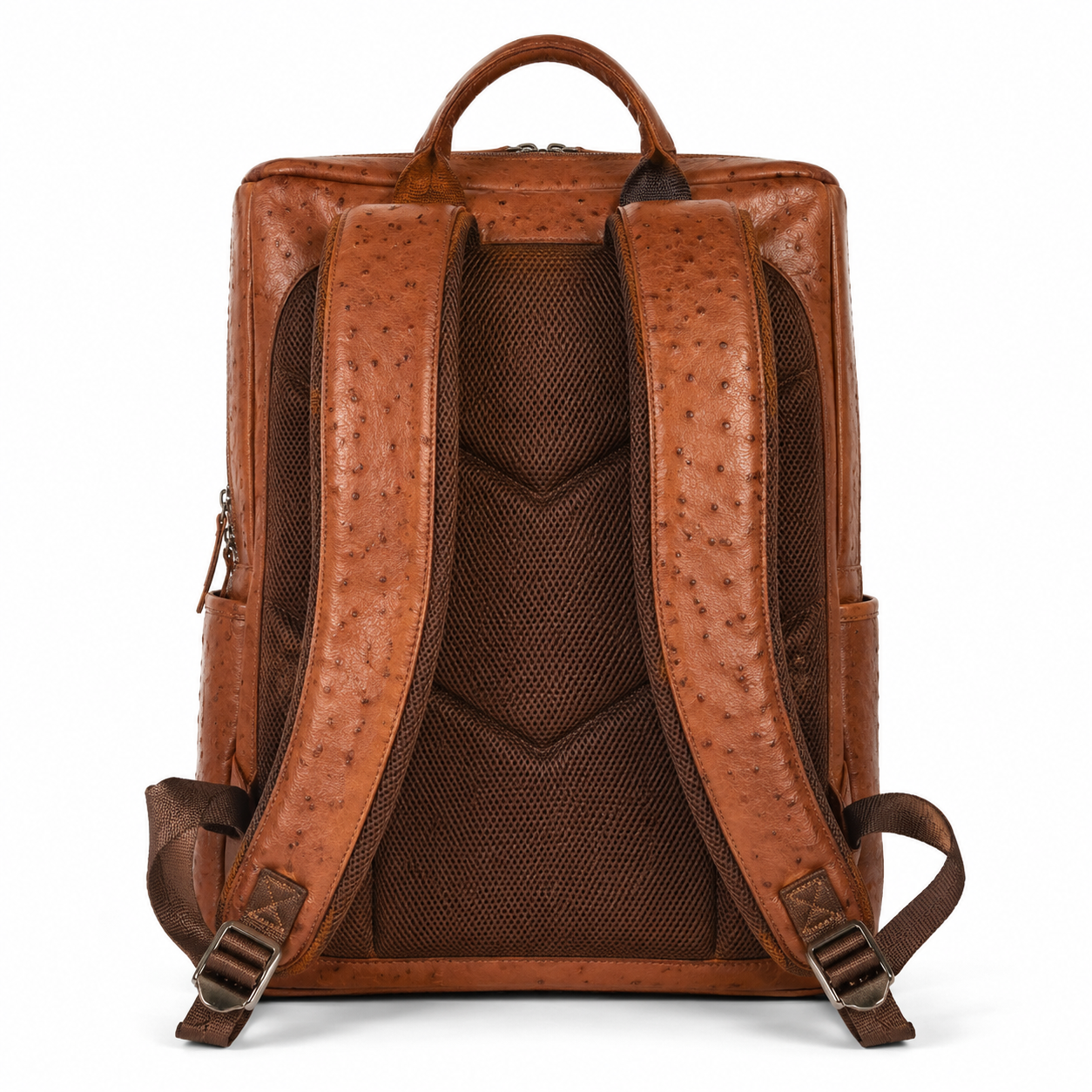 Interior view of backpack compartments