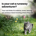 Compact GPS Pet Tracker – Worldwide Location Tracking via Apple & Android Find My – Zero Subscription Costs