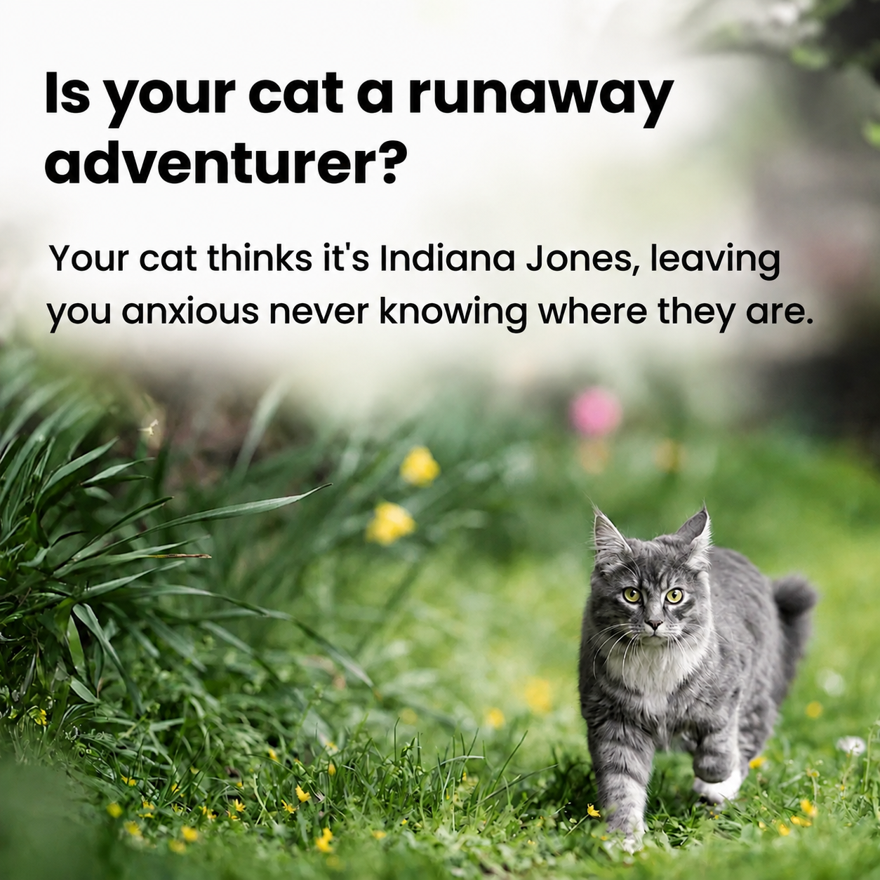 Compact GPS Pet Tracker – Worldwide Location Tracking via Apple & Android Find My – Zero Subscription Costs