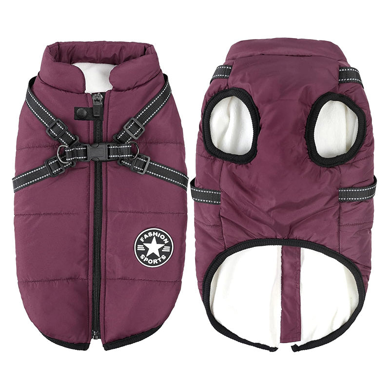 Happy dog wearing comfortable 3-in-1 winter coat in cold weather