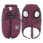 Happy dog wearing comfortable 3-in-1 winter coat in cold weather