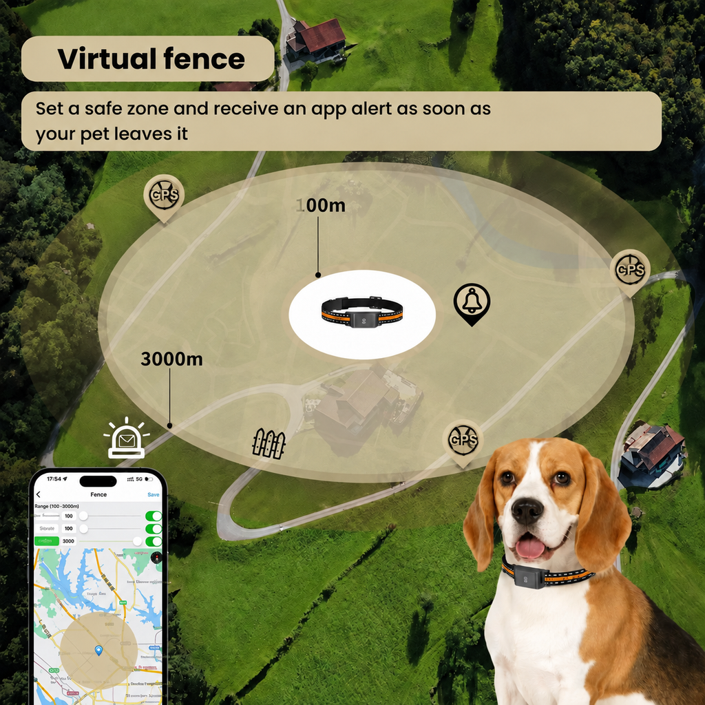 Dog outdoors wearing comfortable GPS collar with secure attachment for everyday adventures