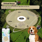 Dog outdoors wearing comfortable GPS collar with secure attachment for everyday adventures