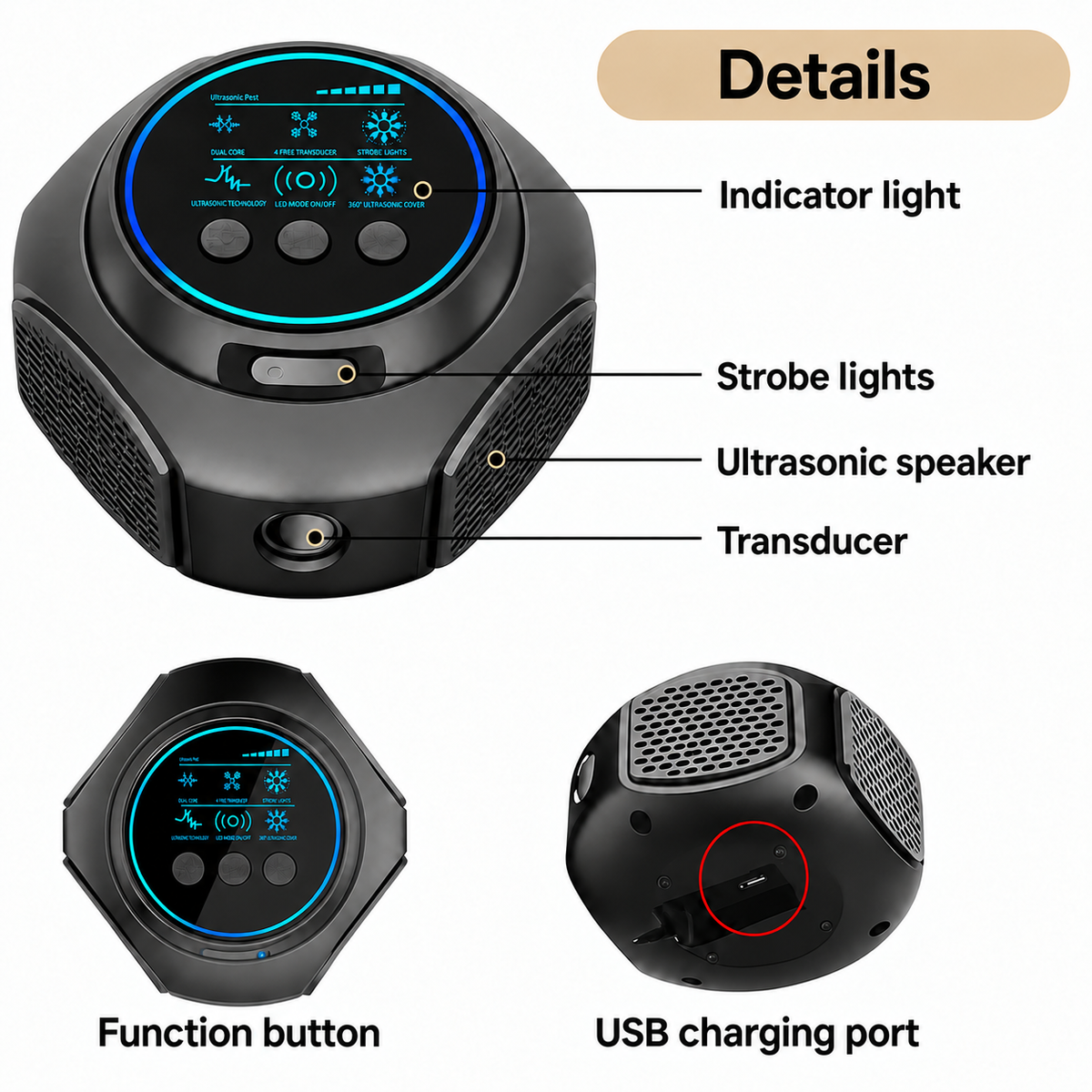 Ultrasonic Spider Repeller – Chemical-Free Protection