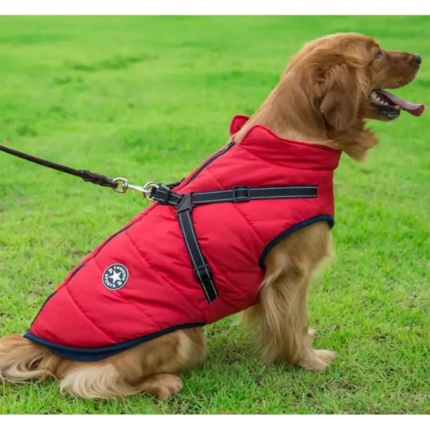 Dog wearing 3-in-1 winter coat showing secure fit and comfort