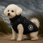 Built-in harness with D-rings on 3-in-1 winter dog coat