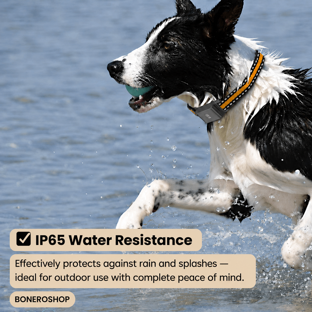 Detailed view of lightweight adjustable GPS collar showing comfortable fit suitable for all pet sizes